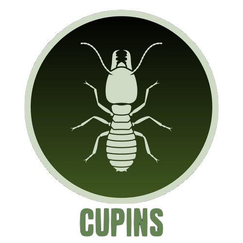 Cupins